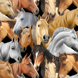 1447313B Packed Horses - multi